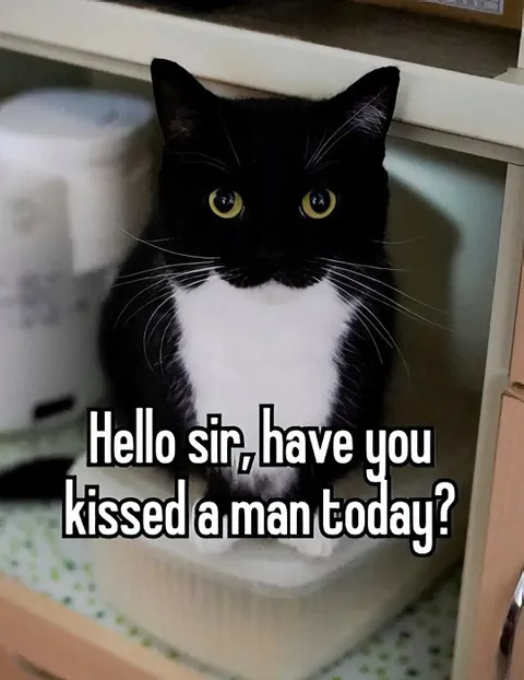 Have You Kissed a Man Today?