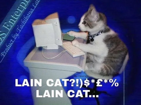 Lain Cat Typing Furiously