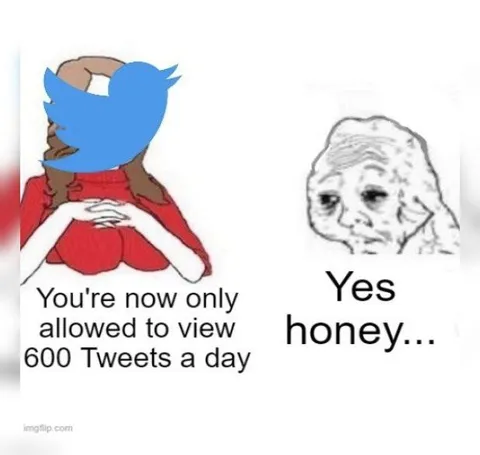 600 Tweets a Day