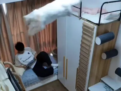 Кот прыгает через комнату