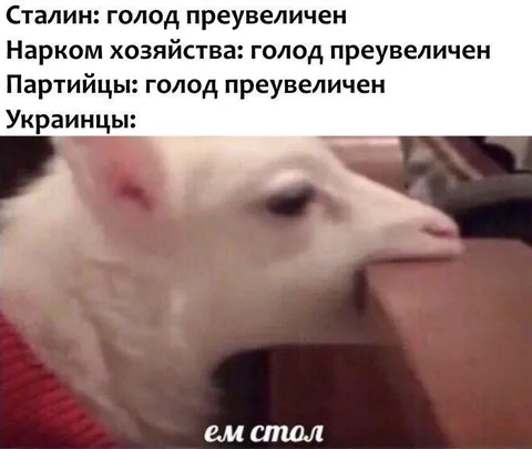 Голодная коза ест стол