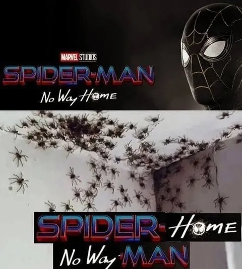 Spider Home No Way Man