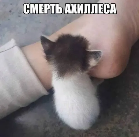 Смерть Ахиллеса