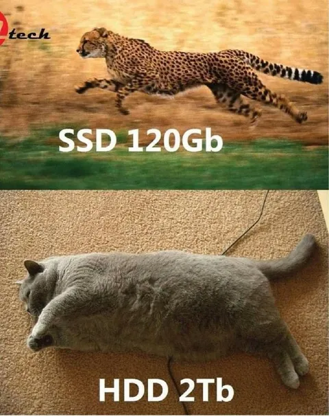 SSD Cheetah HDD Cat