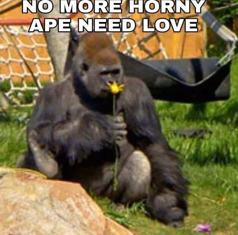 No More Horny Ape Needs Love