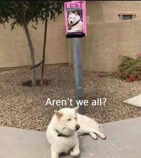 Aren’t We All Lost