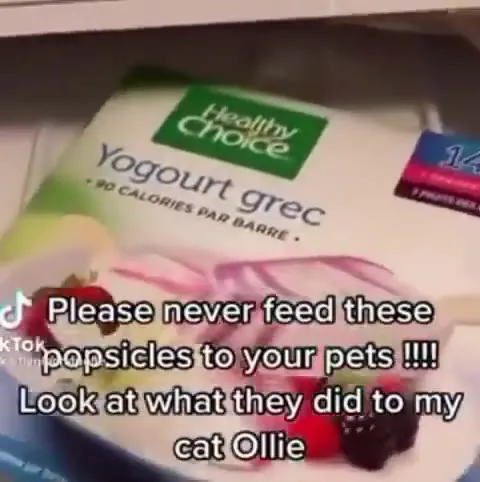 Never Feed Pets Popsicles