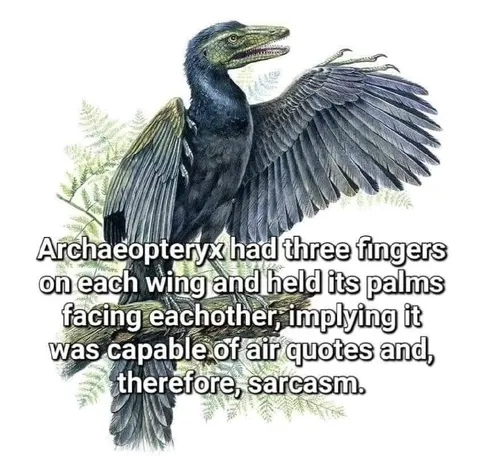 Archaeopteryx Air Quotes
