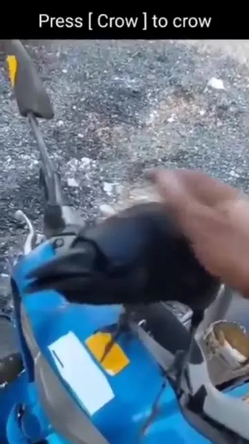 Press Crow to Crow