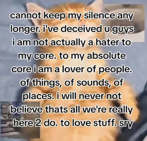 Cat Reveals He Loves People