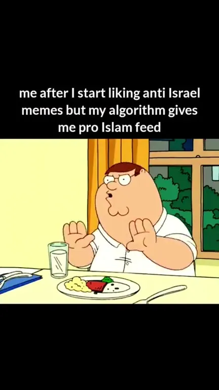 Algorithm Gives Me Pro-Islam Feed