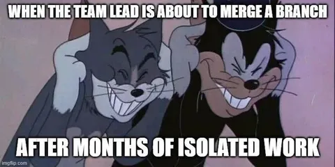 Team Lead Merges a Branch