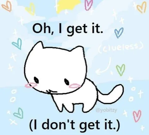 Oh, I Get It Cat