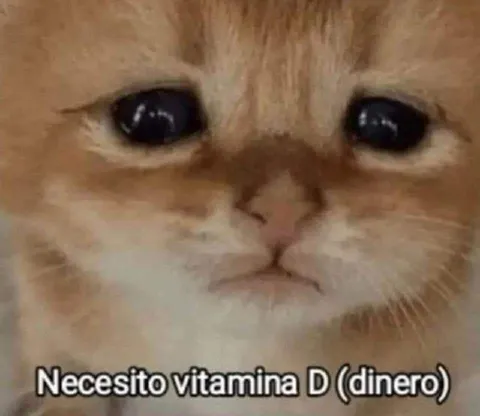 Gato triste necesita dinero