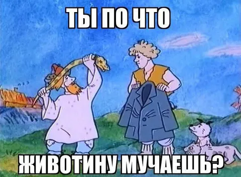 Ты по что животину мучаешь