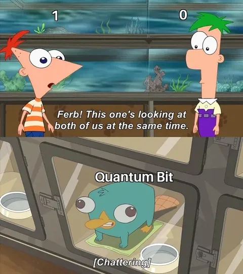 Quantum Bit Looking at Both