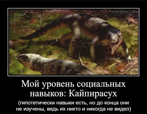 Уровень социальных навыков: кайпирасух