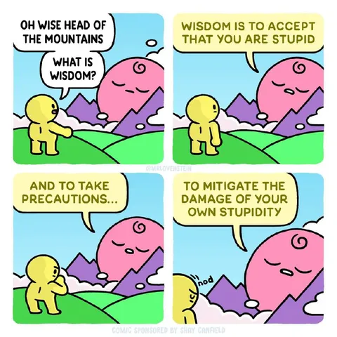 Wisdom Is Accepting Your Stupidity