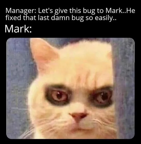 Manager Gives Mark Another Bug