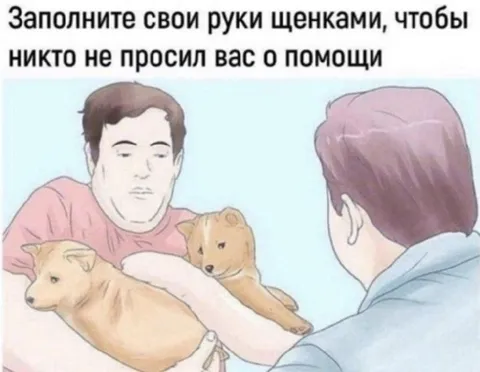 Руки заняты щенками