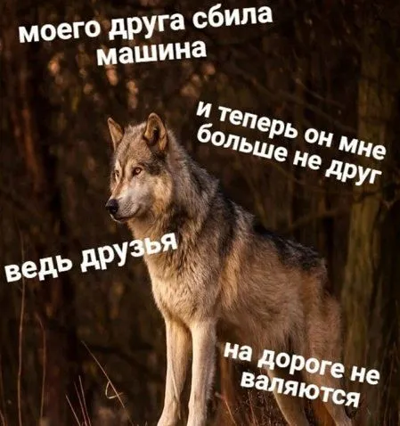 Друзья на дороге не валяются