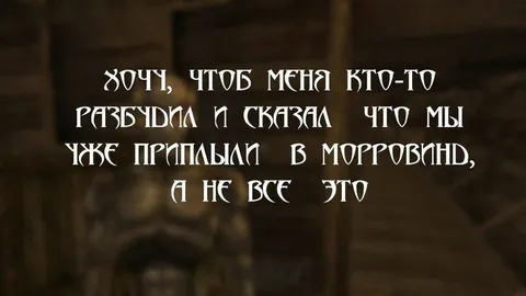 Разбудите, когда приплывём