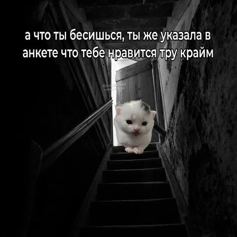 Тру крайм в анкете