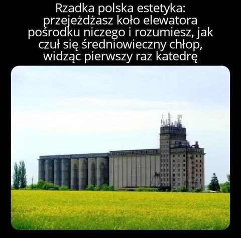 Elewator jak średniowieczna katedra