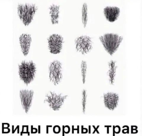 Виды горных трав