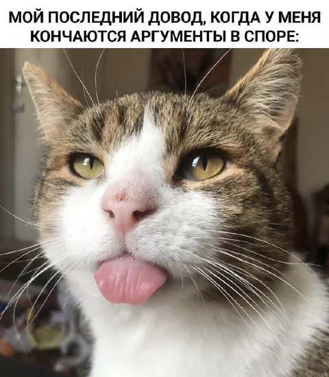 Последний довод в споре