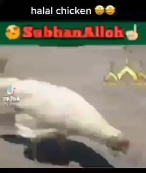 Halal Chicken Says SubhanAllah