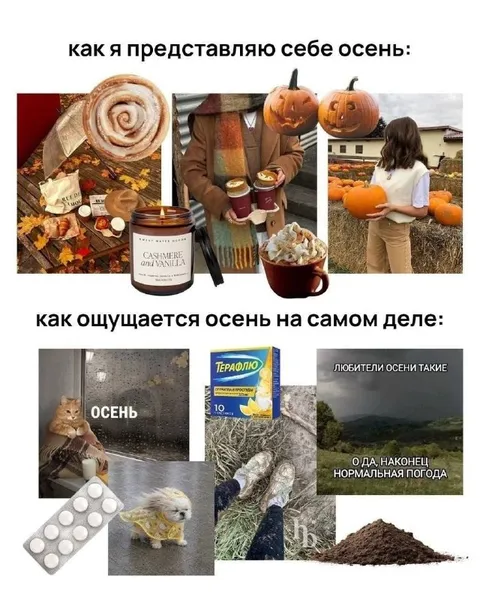 Как я представляю себе осень
