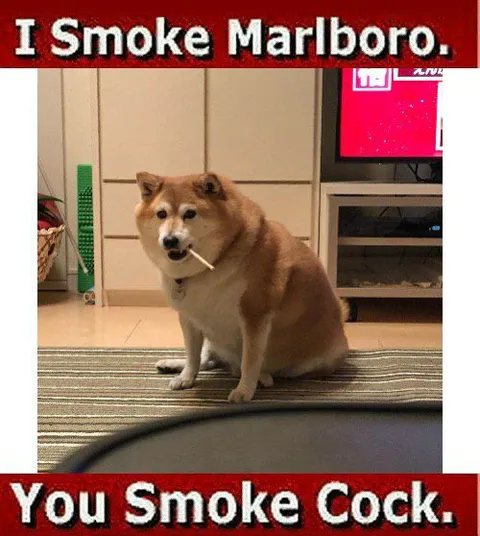 Dog Smoking Marlboro