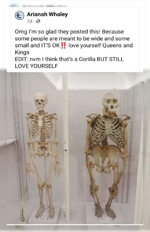Wide and Small Skeletons