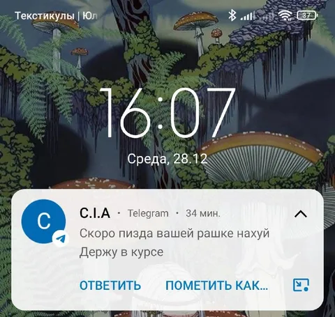Скоро пизда вашей рашке