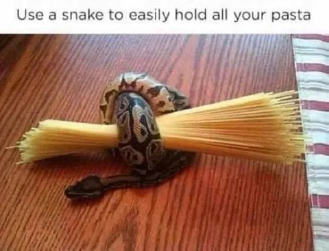 Snake Holds Your Pasta