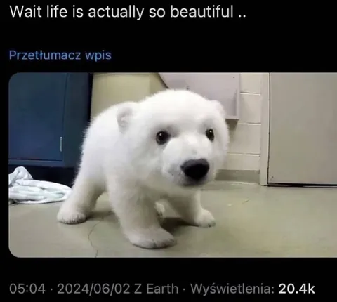 Life Is Actually Beautiful