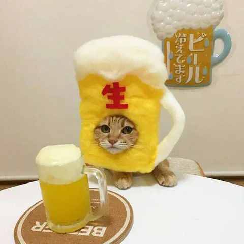 ビールになった猫
