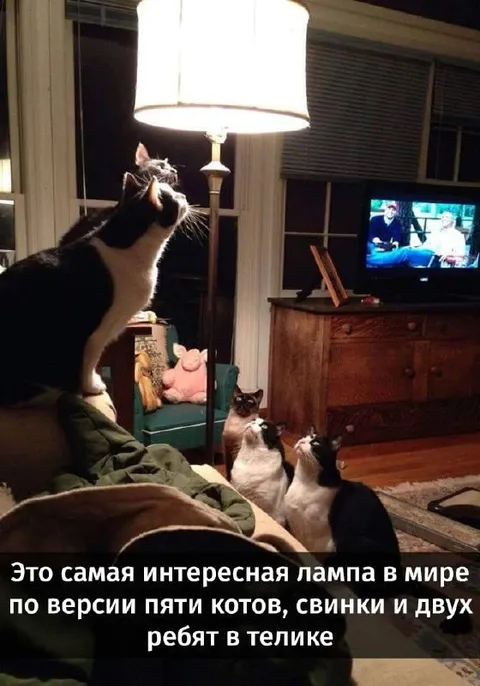 Самая интересная лампа в мире