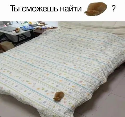 Ты сможешь найти его?