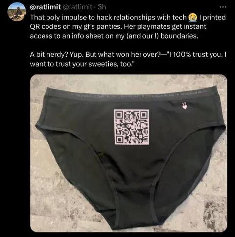 QR Code Poly Relationship Panties