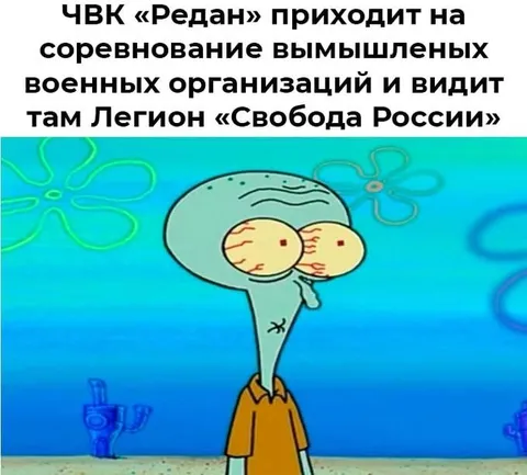 ЧВК «Редан» видит Легион «Свобода России»