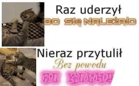 Kot raz uderzył, nieraz przytulił