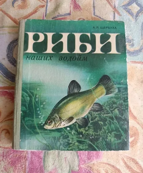 Рыбы наших водоёмов