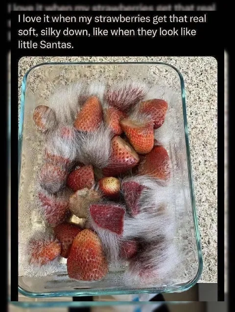 Fuzzy Strawberry Santas