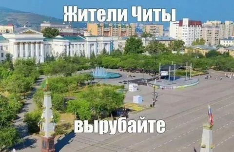 Жители Читы вырубайте