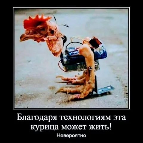 Курица благодаря технологиям