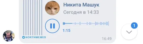 Мой батя за ужином слушает голосовое