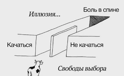 Иллюзия выбора и боль в спине