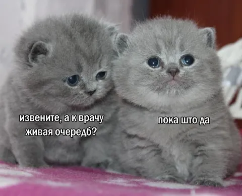 Живая очередь к врачу